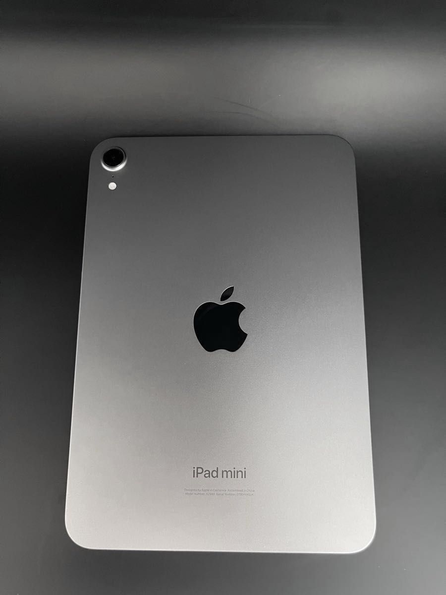 iPad mini A17 Pro（第7世代）128GB Wifiモデル スペースグレイ Apple
