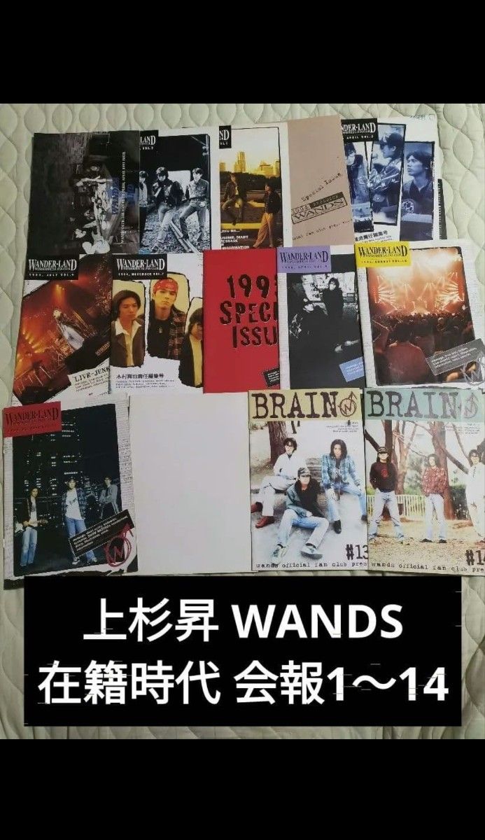 第2期 WANDS ワンズ 上杉昇 会報 #1～14 フルセット ファンクラブ 柴崎