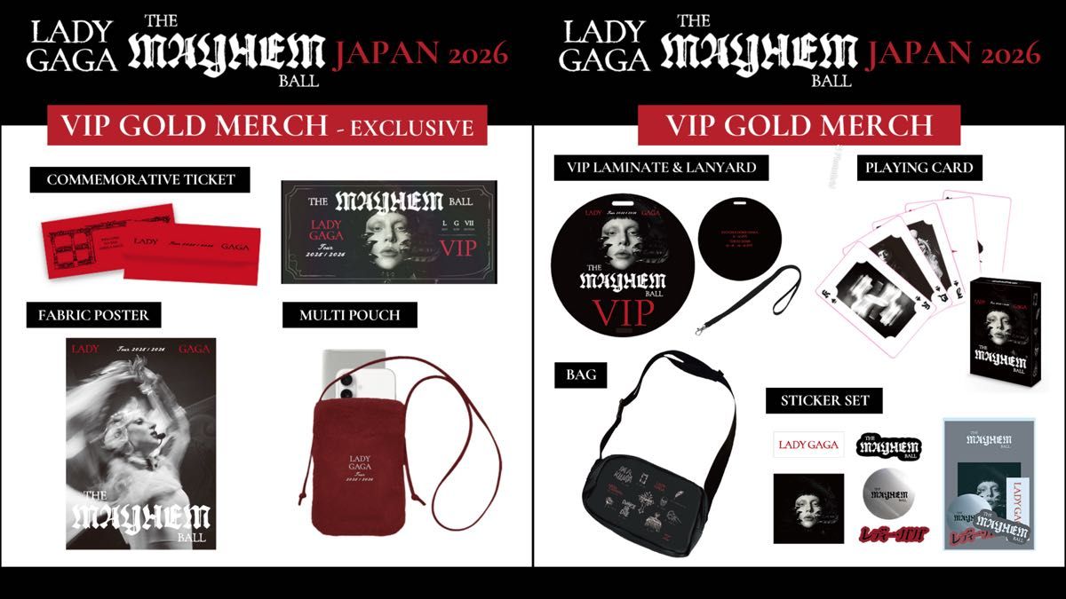 LADY GAGA VIP GOLD グッズ フルセット ゴールド VIPグッズ