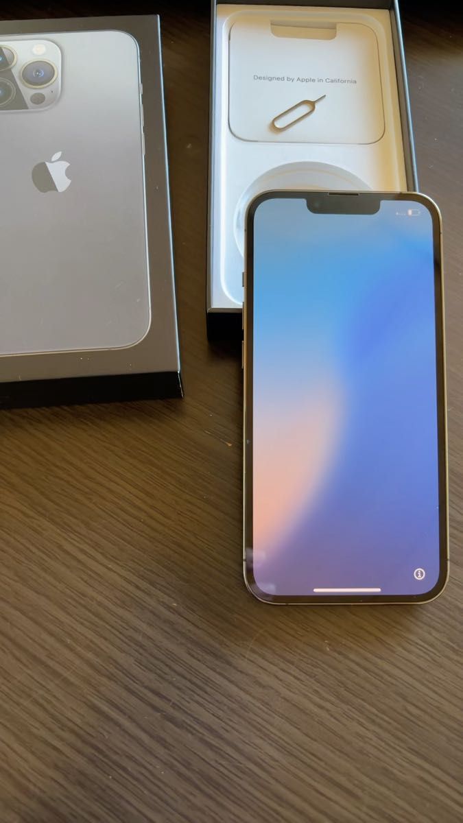iPhone 13 Pro 256GB ジャンク⚫︎箱有り⚫︎ ジャンク品 iPhone 13