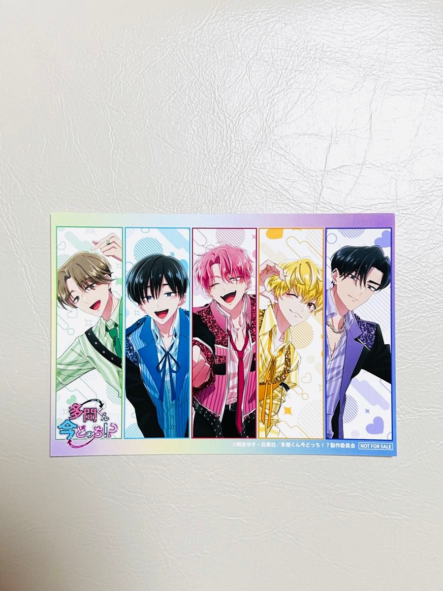 多聞くん今どっち13 アニメイト特典ミニフォトカード全種コンプリート