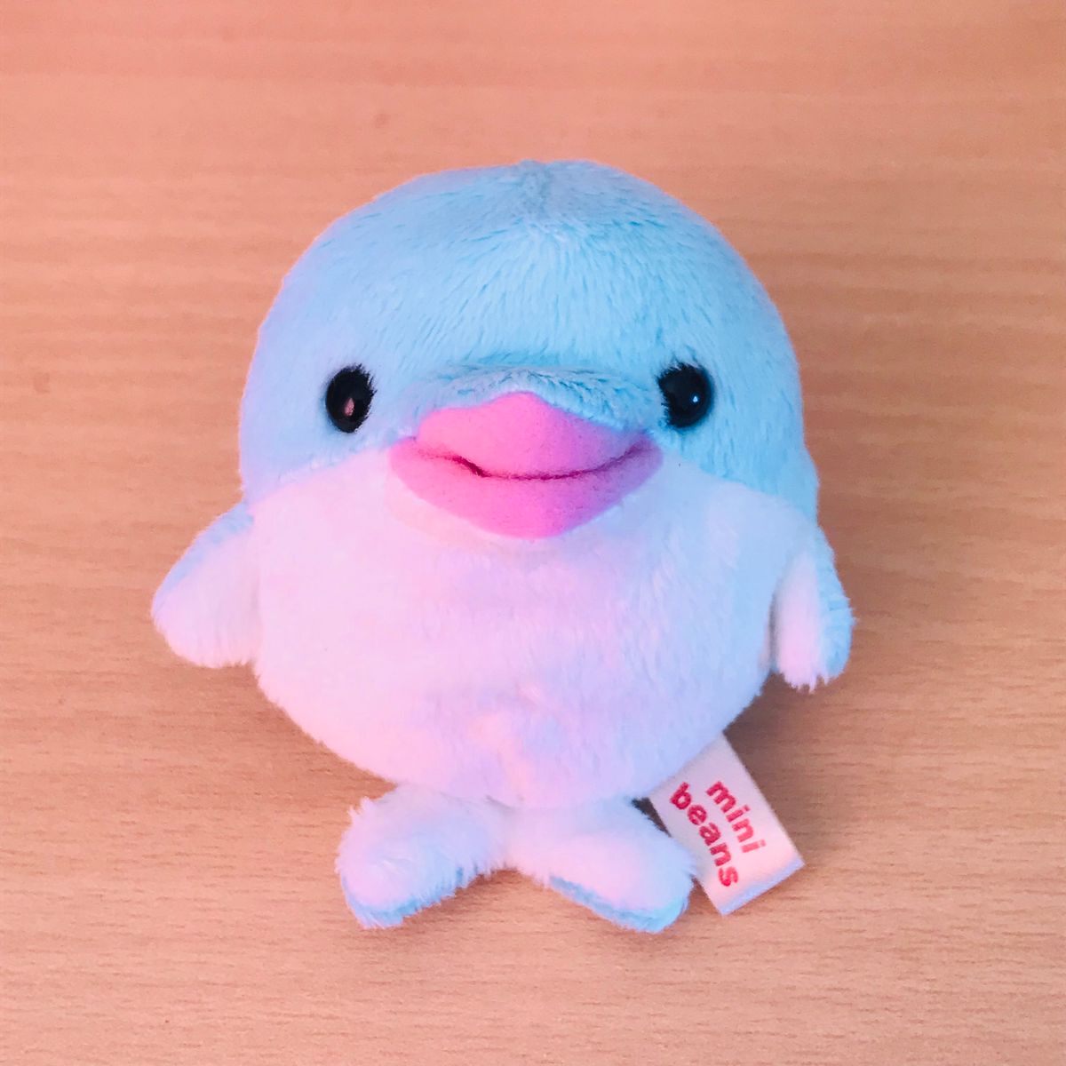 ミニビーンズ】イルカ ぬいぐるみ｜Yahoo!フリマ（旧PayPayフリマ）