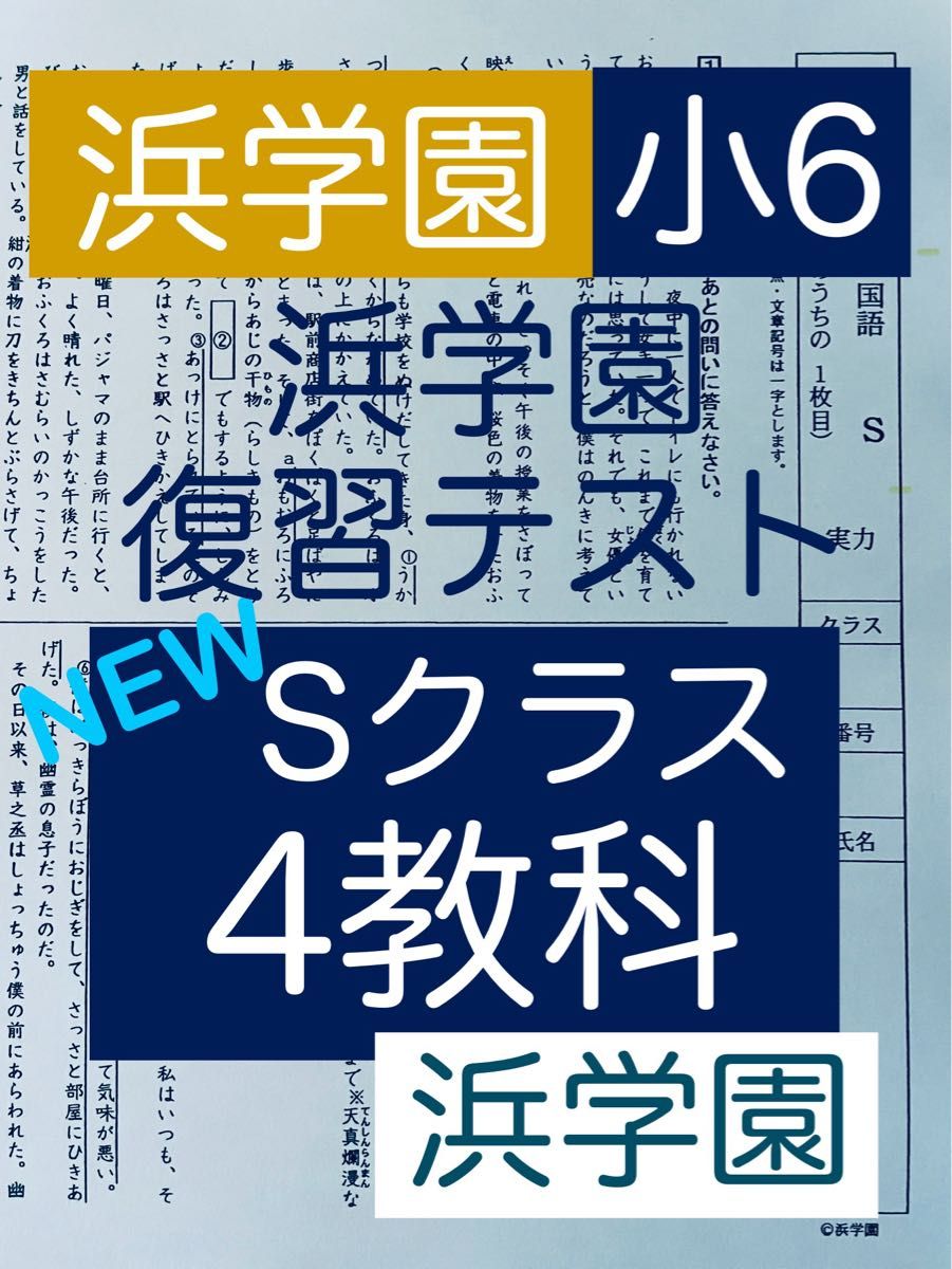 浜学園小4 Sクラス 算数 国語 理科 3科目1年分 ばら売り可 浜学園小