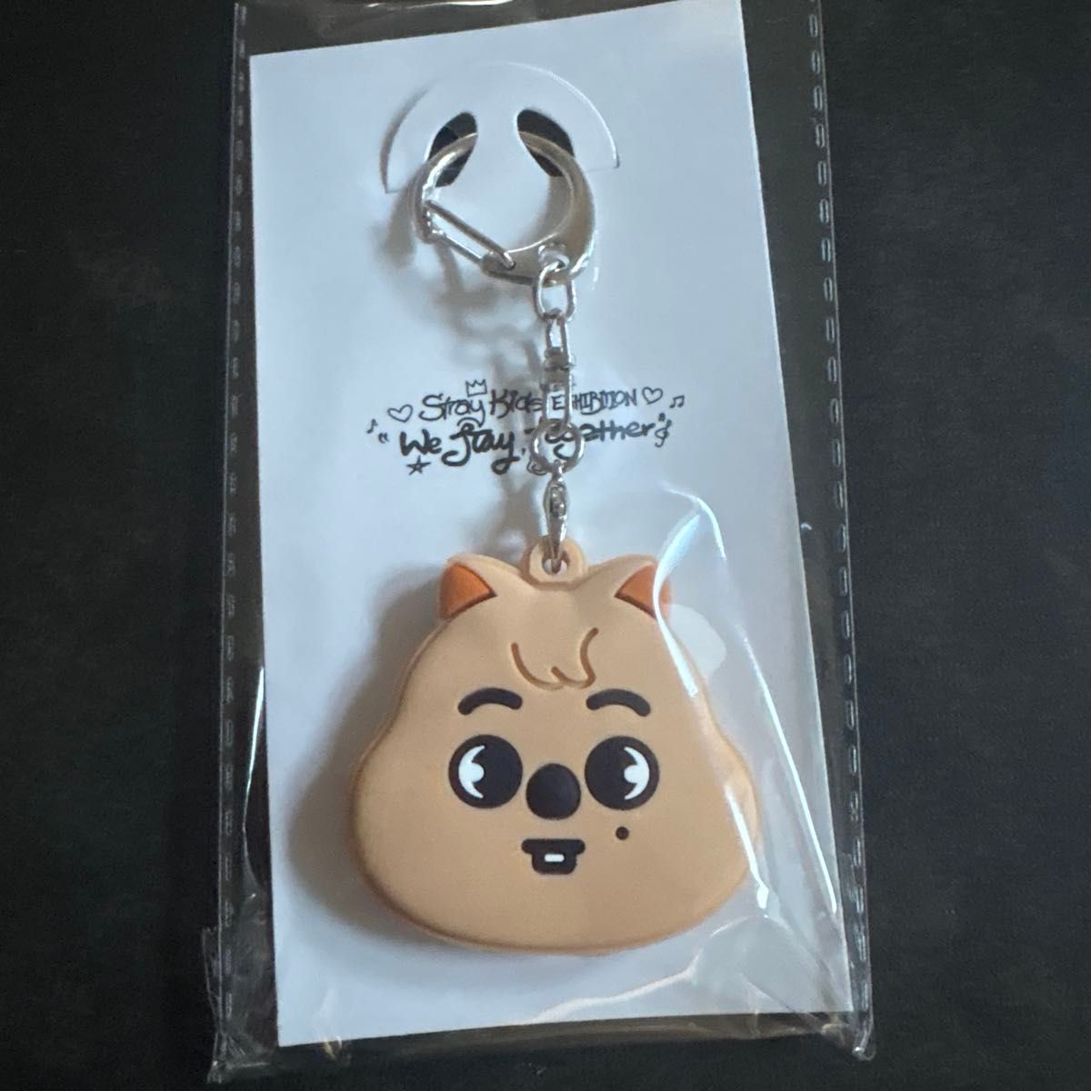 EXHIBITION Stray Kids スキズ 展覧会 キーカバー クオッカ｜Yahoo