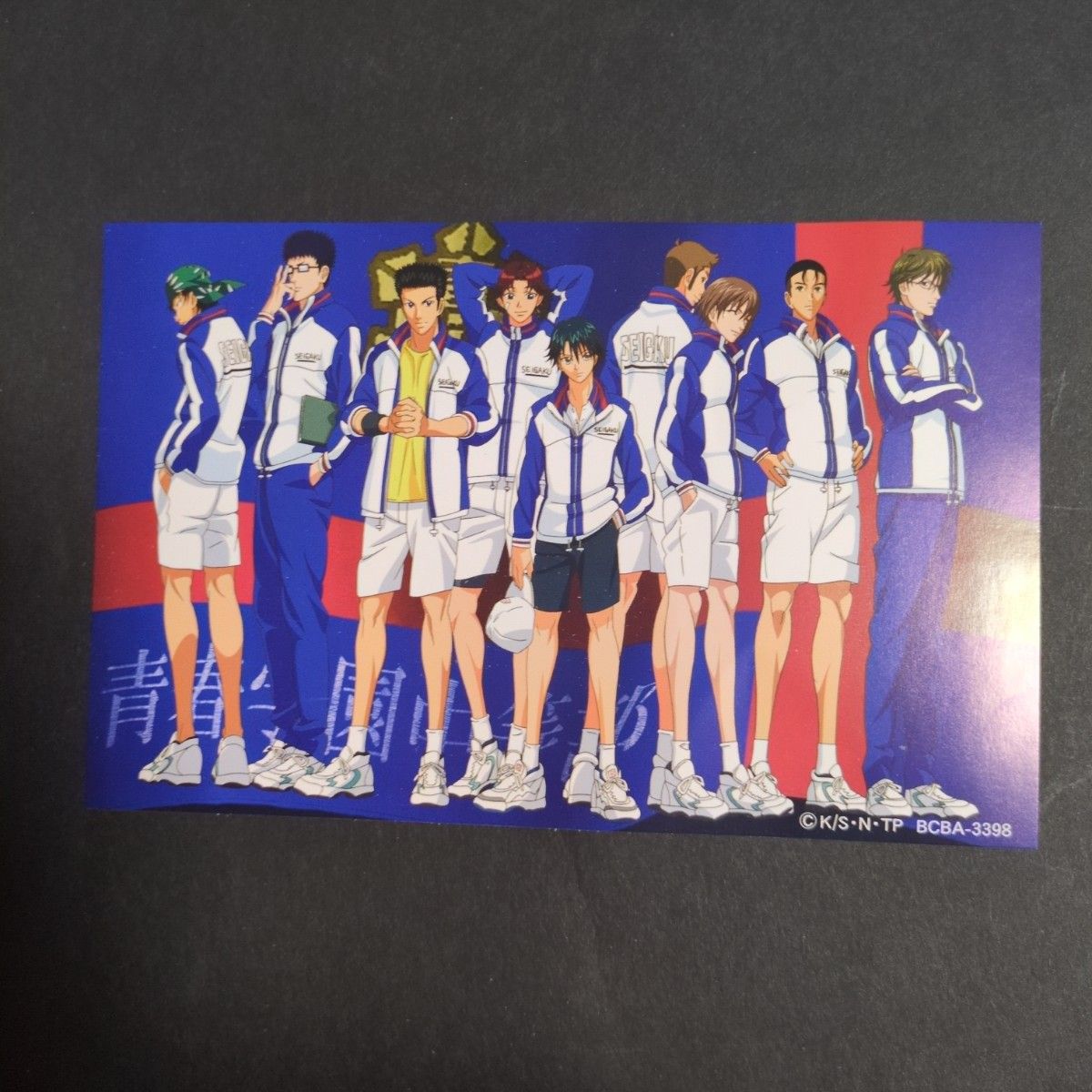 テニスの王子様 トレカ カード 青春学園 カードスタンド2 ファイル