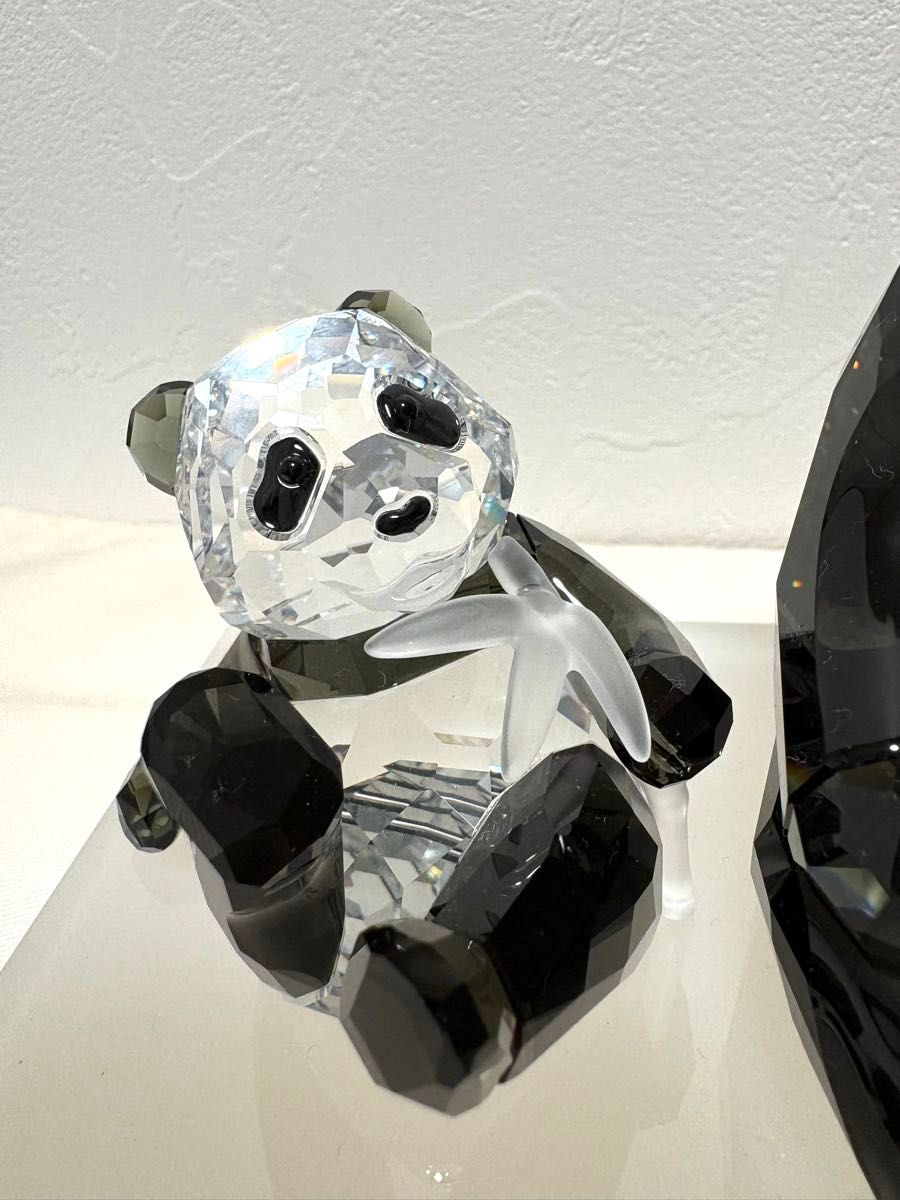 スワロフスキー 2008年 ワイルドライフ 希少な野生動物 パンダ SCS限定