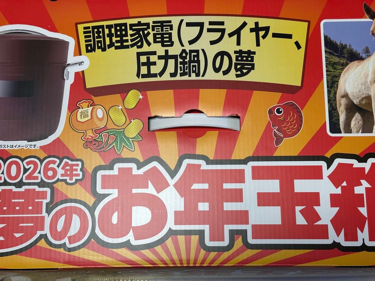 ヨドバシカメラ 夢のお年玉箱2026 調理家電（フライヤー 圧力鍋）の夢