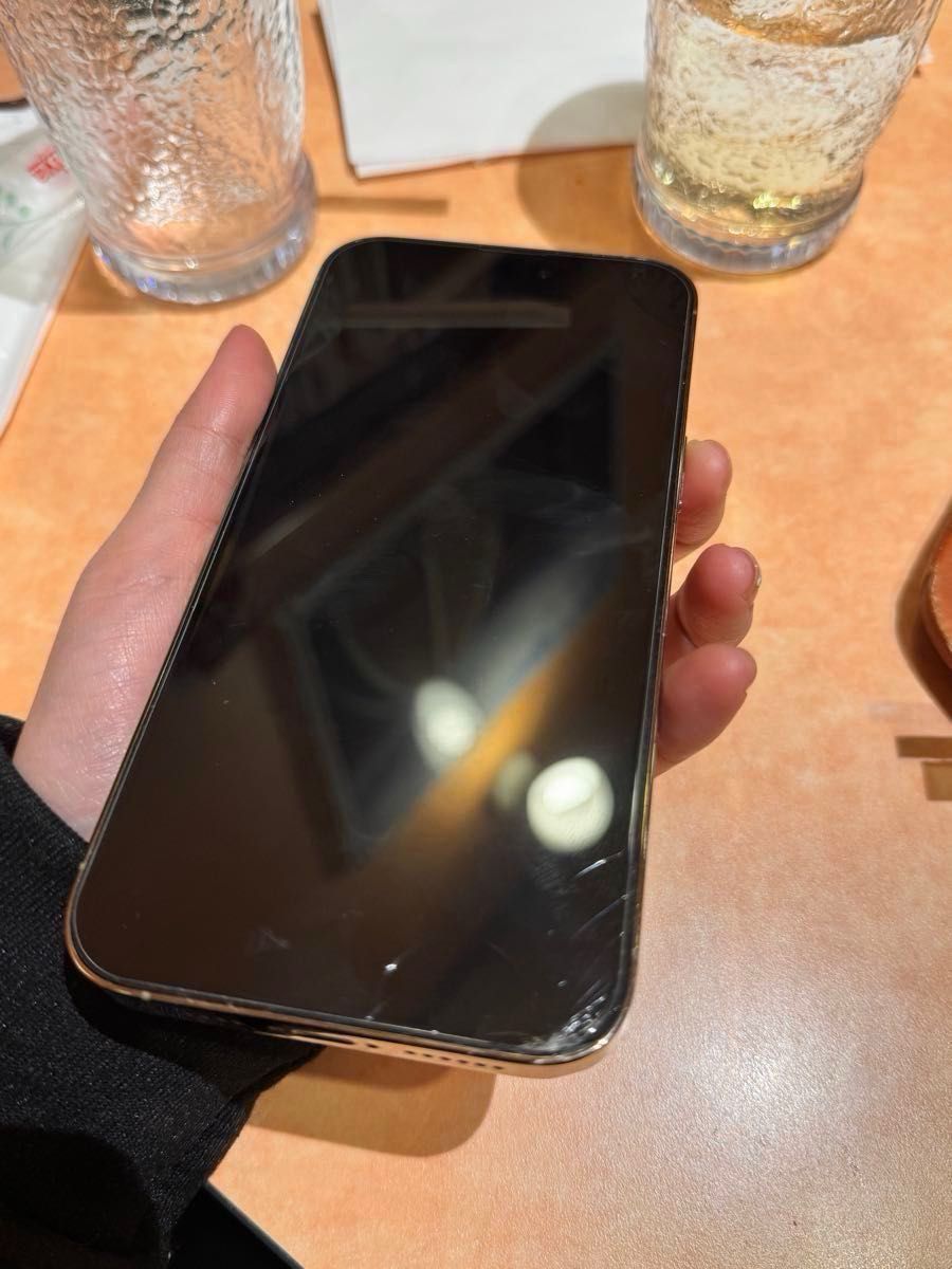シャッター無音 iPhone 14 Pro Max 256GB 米国版 背面割れ SIM対応