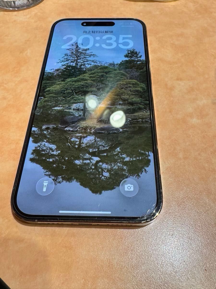 シャッター無音 iPhone 14 Pro Max 256GB 米国版 背面割れ SIM対応