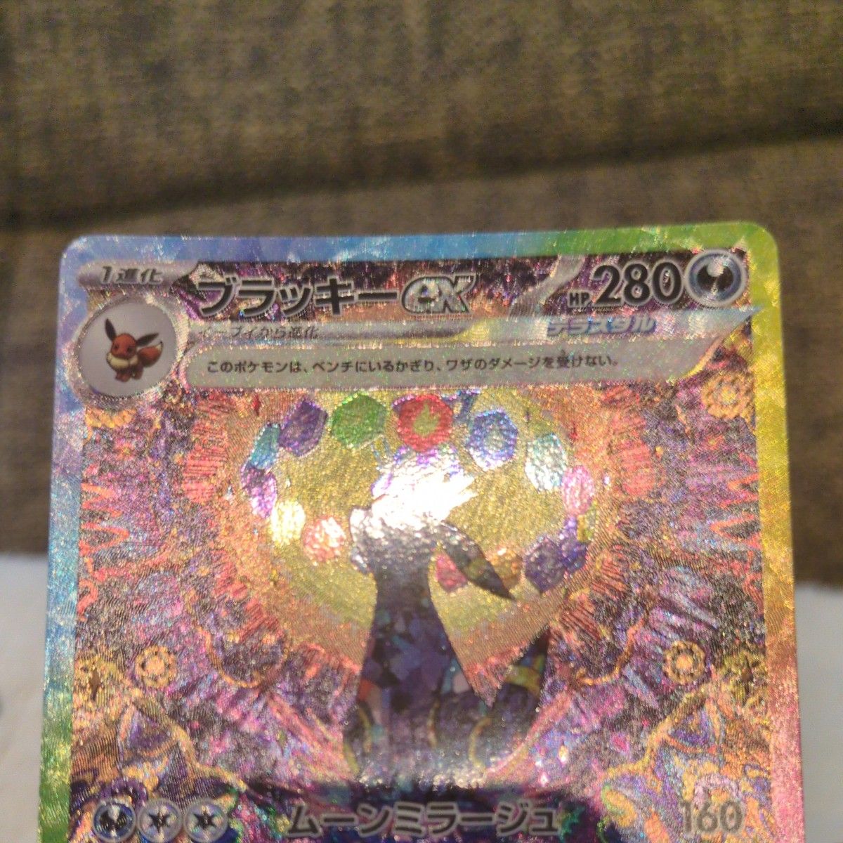 ブイズSARコンプリート＋5枚セット テラスタルフェスex ポケモンカード