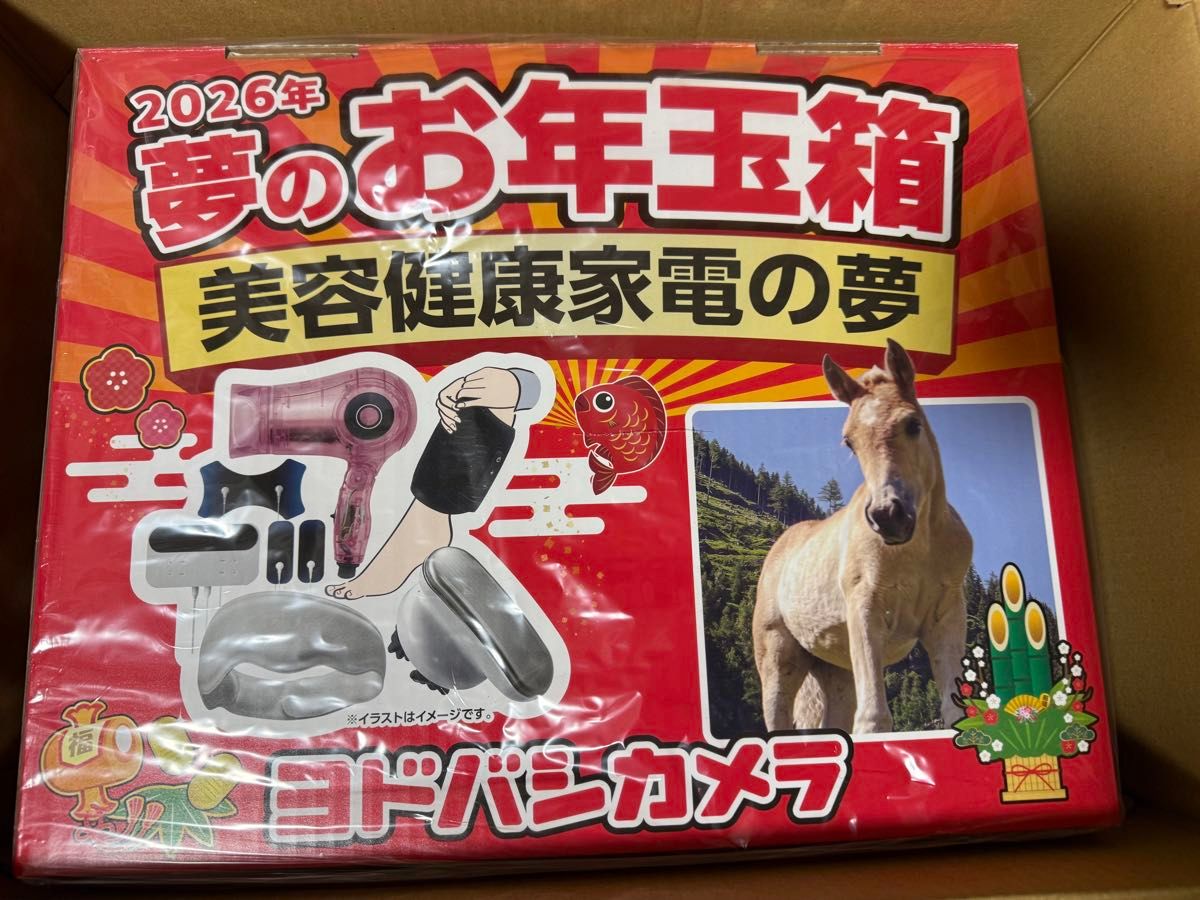 ヨドバシカメラ 夢のお年玉箱2026 美容健康家電の夢 夢のお年玉箱 福袋