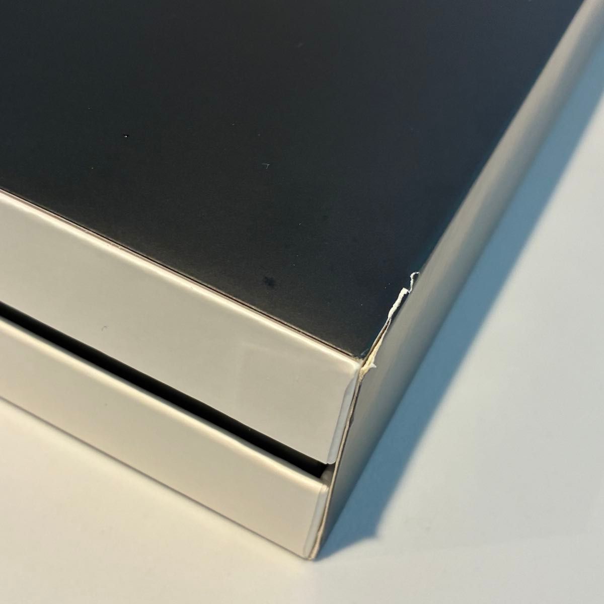 ステラ ビューティフェイススティック 2023年モデル SB-BFS01-03