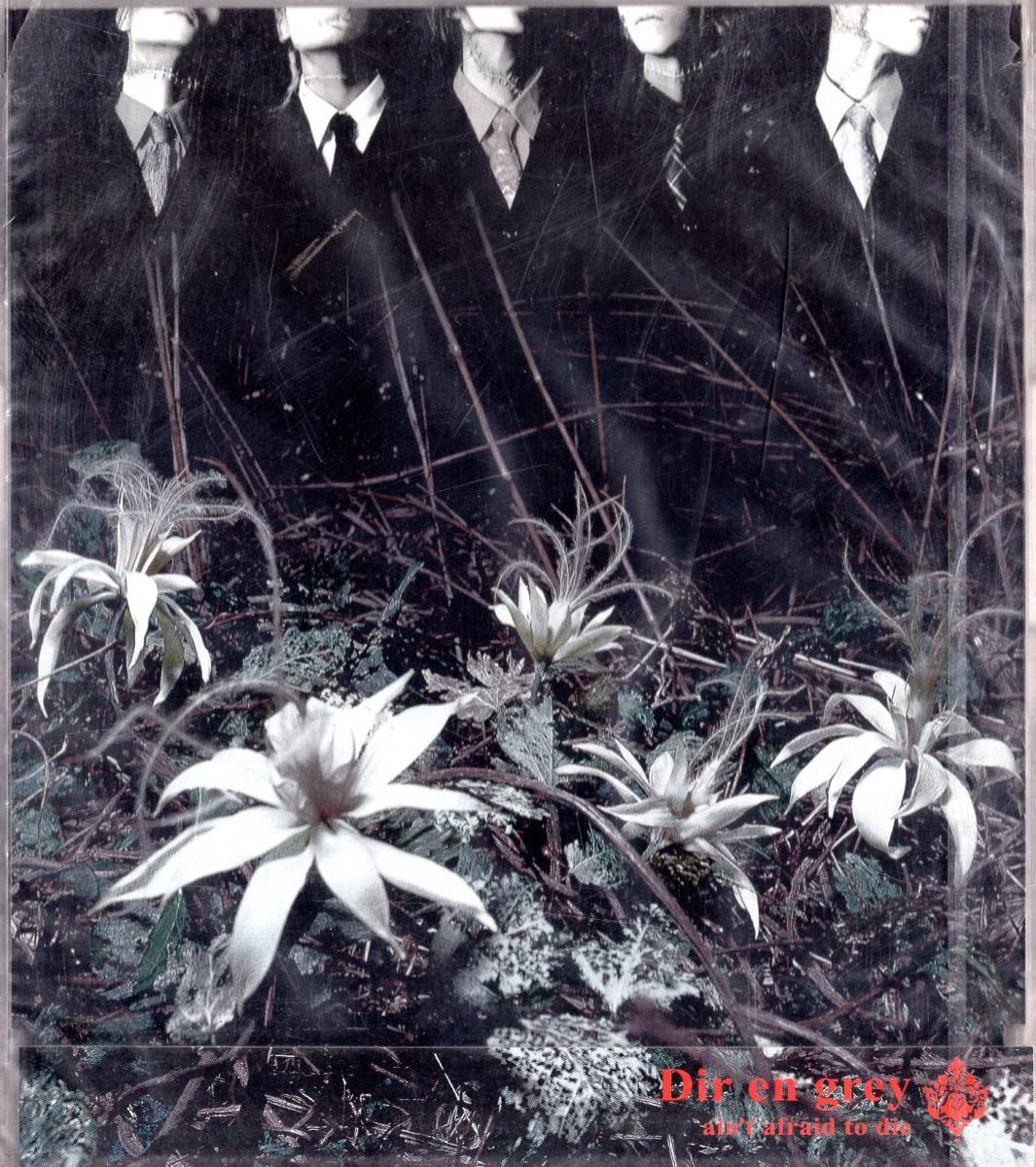 Yahoo!オークション - DIR EN GREY ain't afraid to die 京 7分を越え