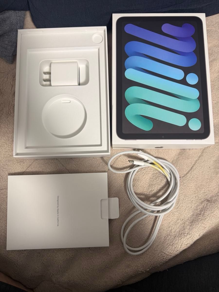 ジャンク iPad mini 第6世代 64GB セルラーモデル SIMフリー｜Yahoo