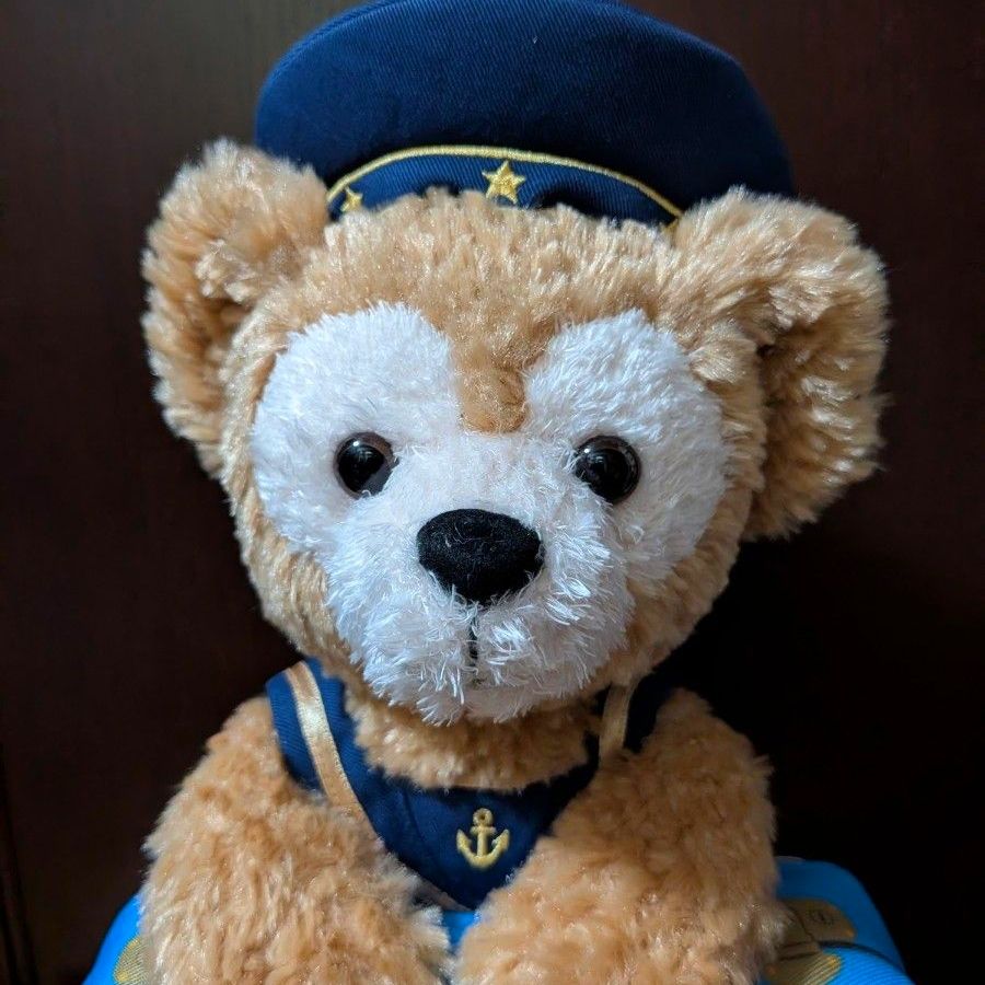 東京ディズニーシーダッフィー20周年 ダッフィーぬいぐるみ お顔厳選