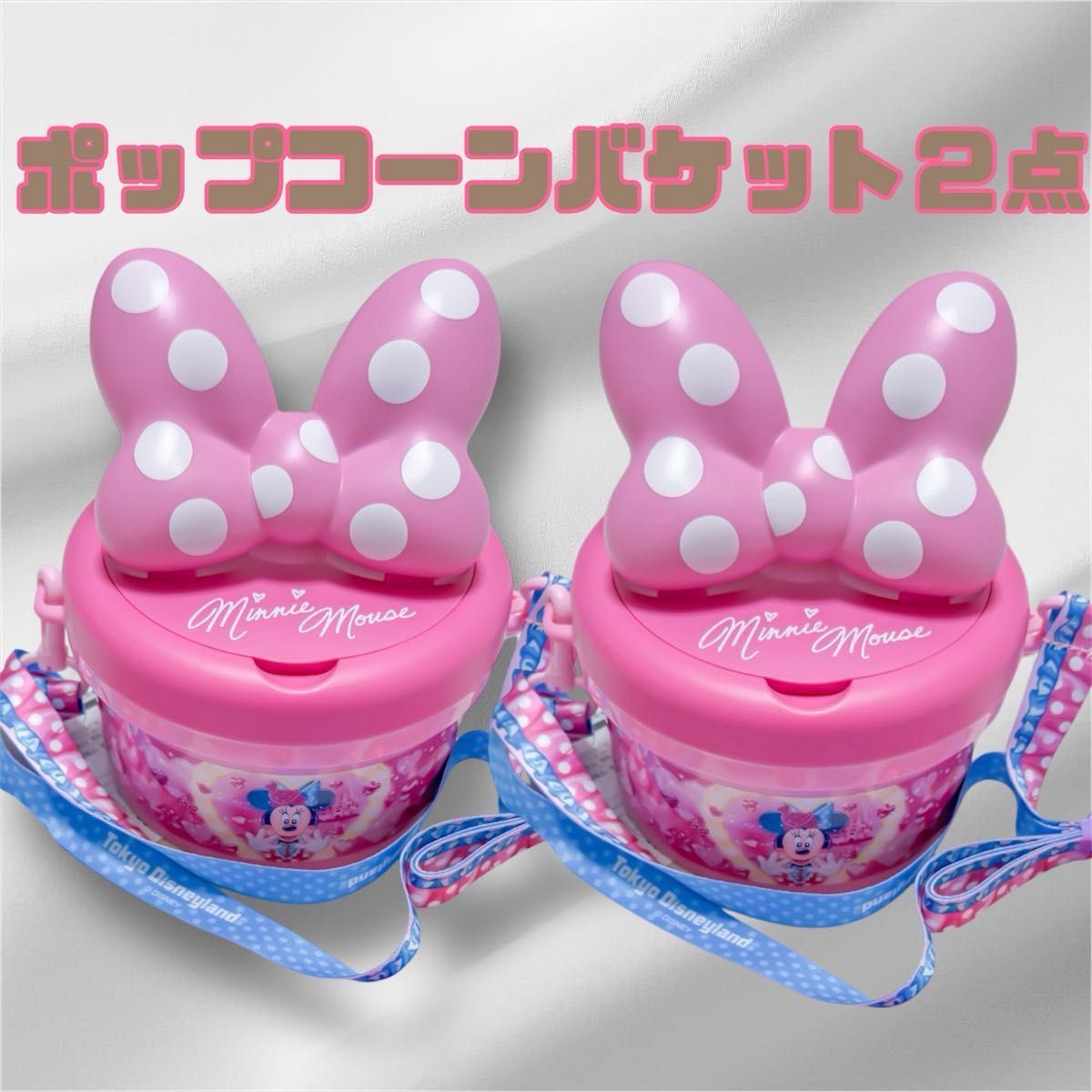 2点セット 未使用タグ付 ミニー ポップコーンバケットパルパルーザ