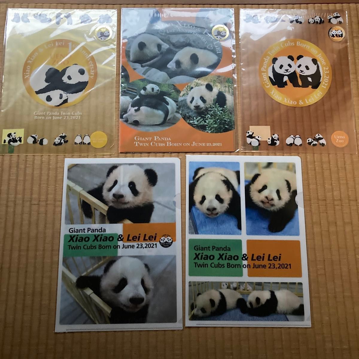 新品 上野動物園 シャオシャオ レイレイ パンダ クリアファイル 5点