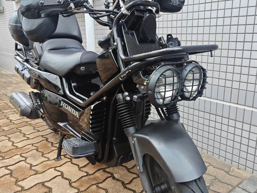 PS250 ヘッドライトカバー ストーンガード ホンダ BW'S BIG RUCKUS