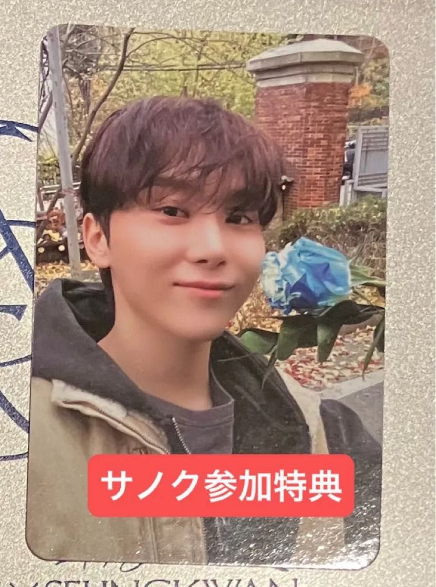 SEVENTEEN ドギョム スングァン D×S Serenade サノク フォトカード