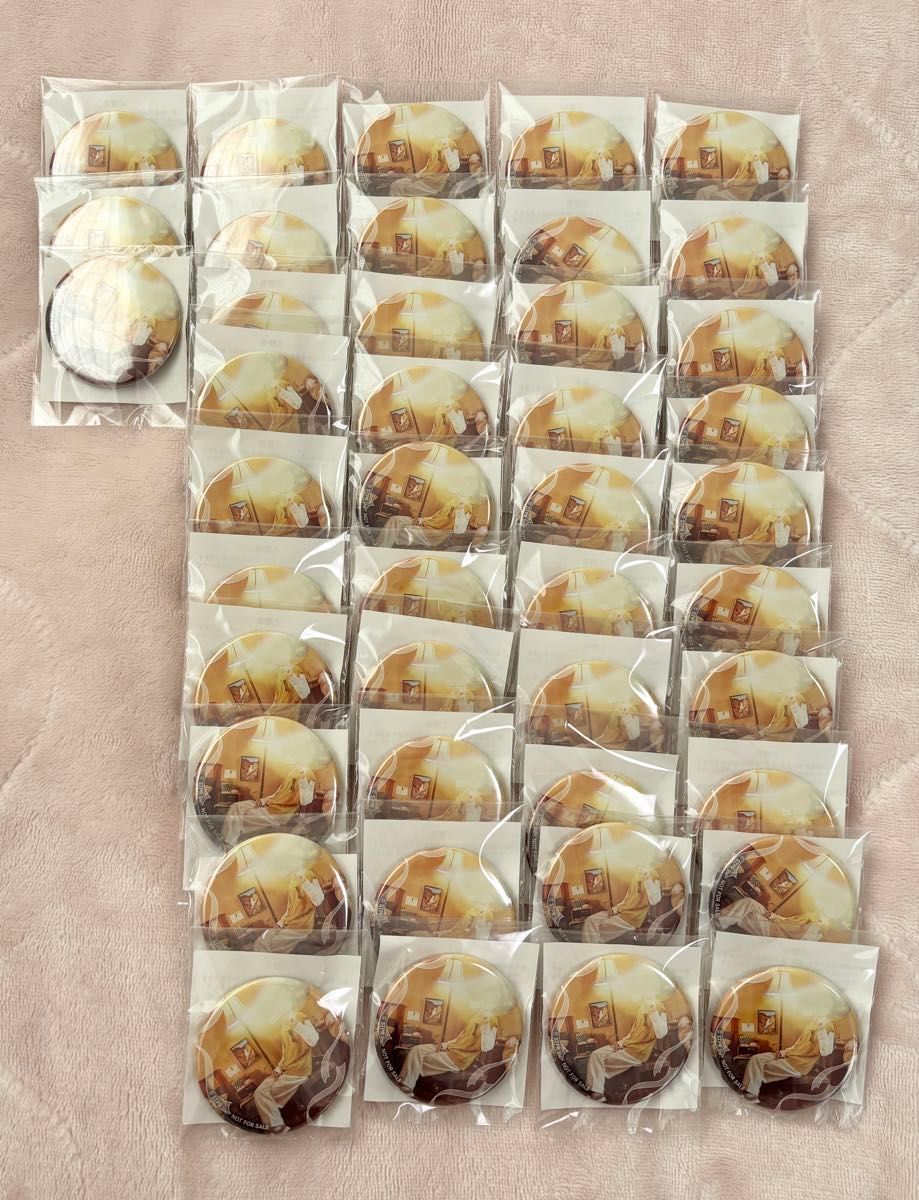 本日限定価格】るぅとくん 君と僕の約束 アニメイト 特典 缶バッジ