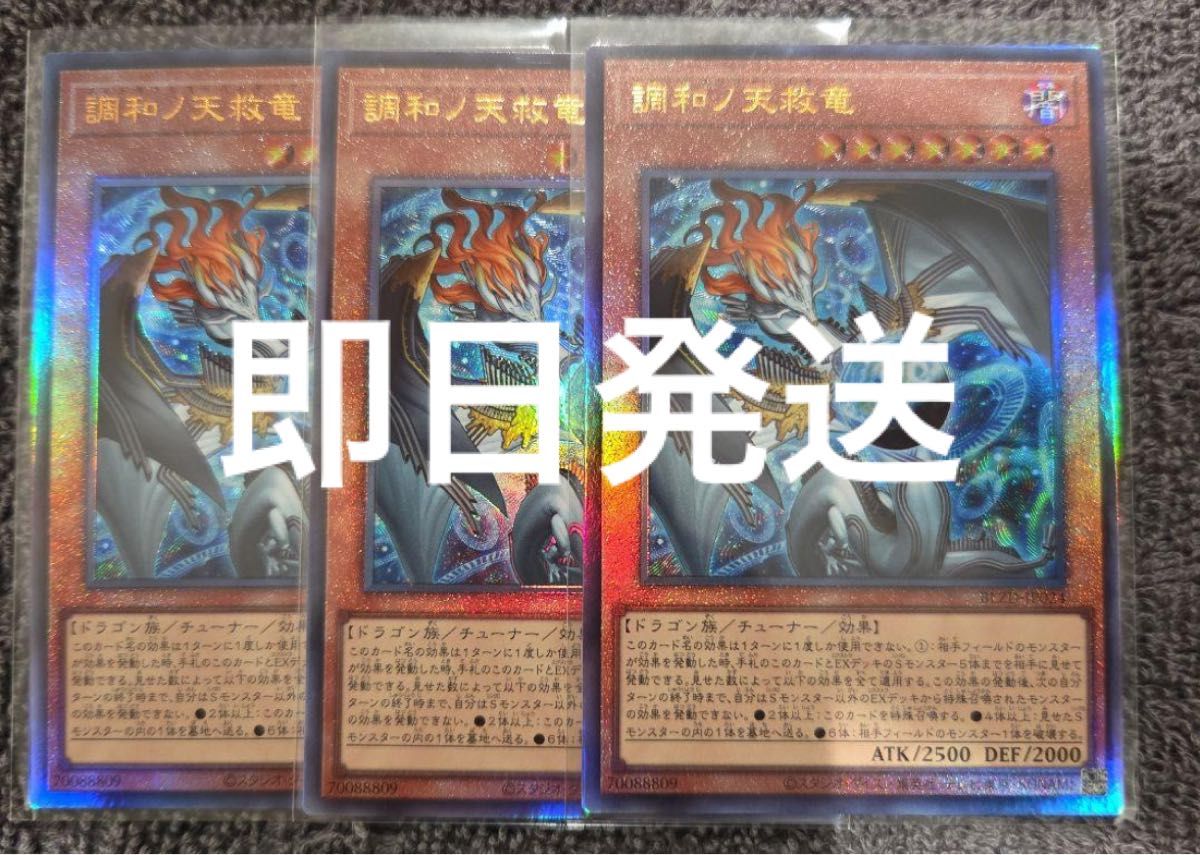 遊戯王 調和ノ天救竜 レリーフ 2枚 状態B〕調和ノ天救竜【レリーフ