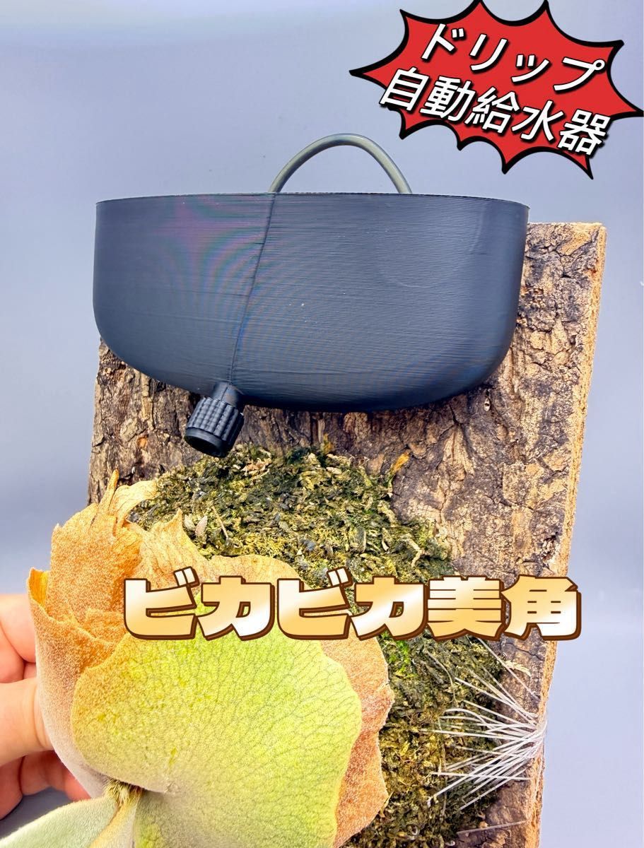 ビカクシダ 板付専用 ドリップ式掛け給水器 120ml｜Yahoo!フリマ（旧