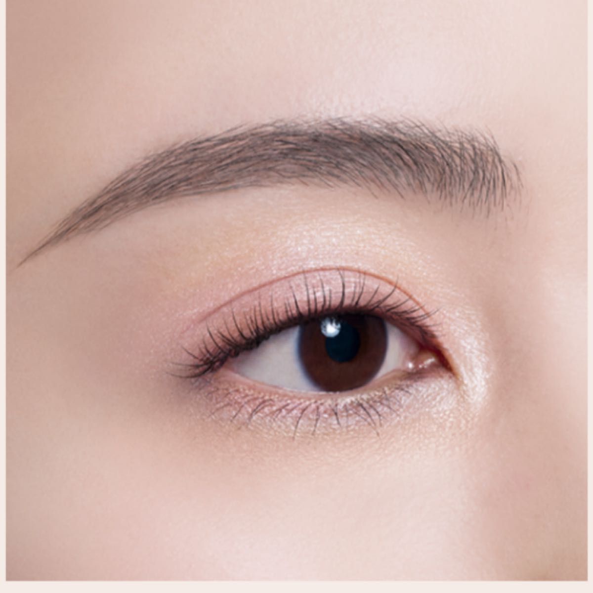 コスメデコルテ スキンシャドウ デザイニング パレット 10 ruddy