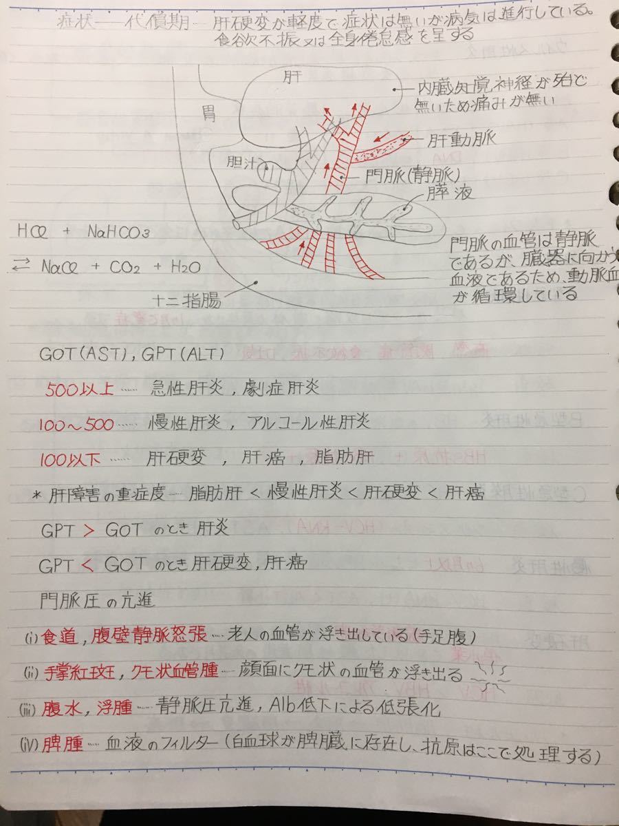 医療系学科定期試験 国家試験対策シリーズ【病理学】まとめノート