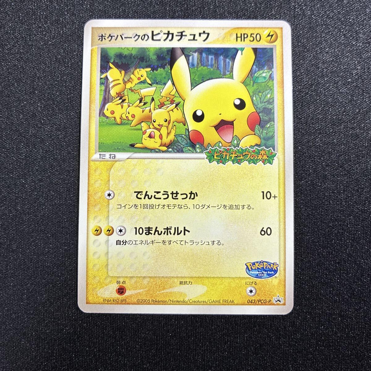 ポケパークのピカチュウ アチャモ ポケモンカード 2枚セット｜Yahoo
