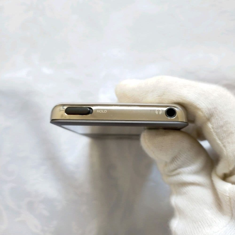 美品】iPod Classic 第6世代 グレー MC297化 256GB｜Yahoo!フリマ（旧