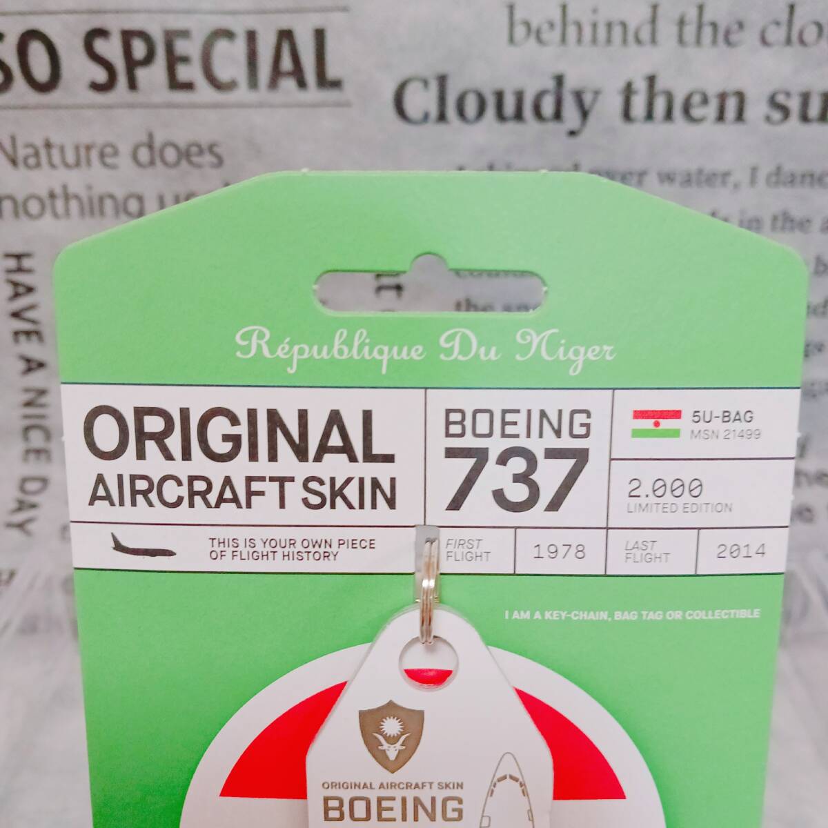 ☆希少☆アビエーションタグ Aviationtag B737-200実機外板タグ 希少