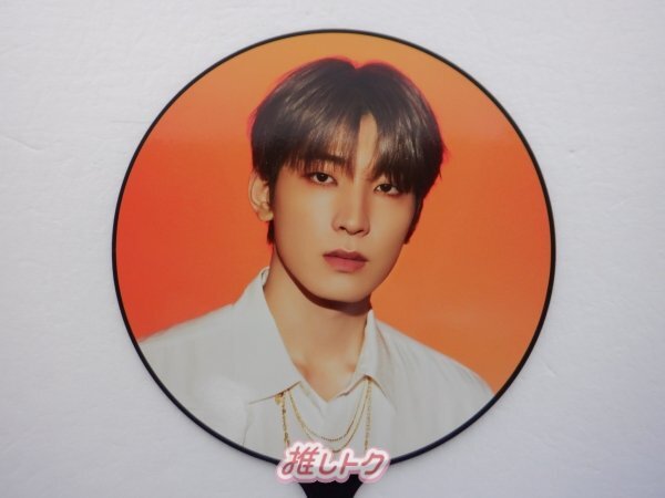 SEVENTEEN WONWOO うちわ WORLD TOUR BE THE トップ SUN ウォヌ [難小
