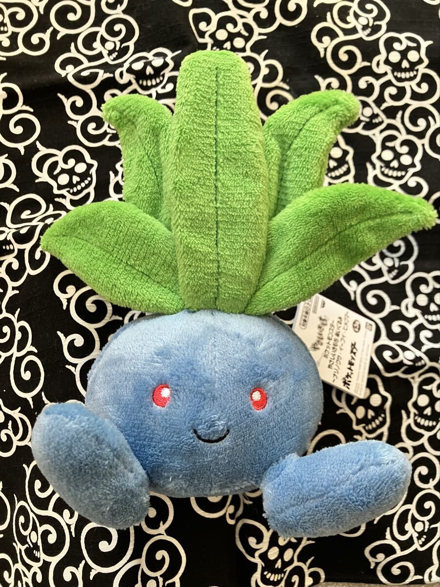 ナゾノクサ やさしいきもち ぬいぐるみ ポケモン ポケットモンスター