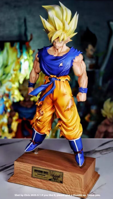 服着る人ドラゴンボールZ スーパサイヤ人孫悟空 ガレージキッド