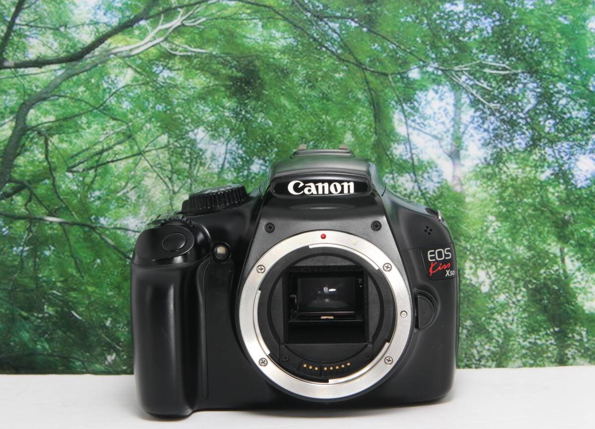 シャッター数5708 スマホに動画と写真転送OK 美品 Canon Kiss X50