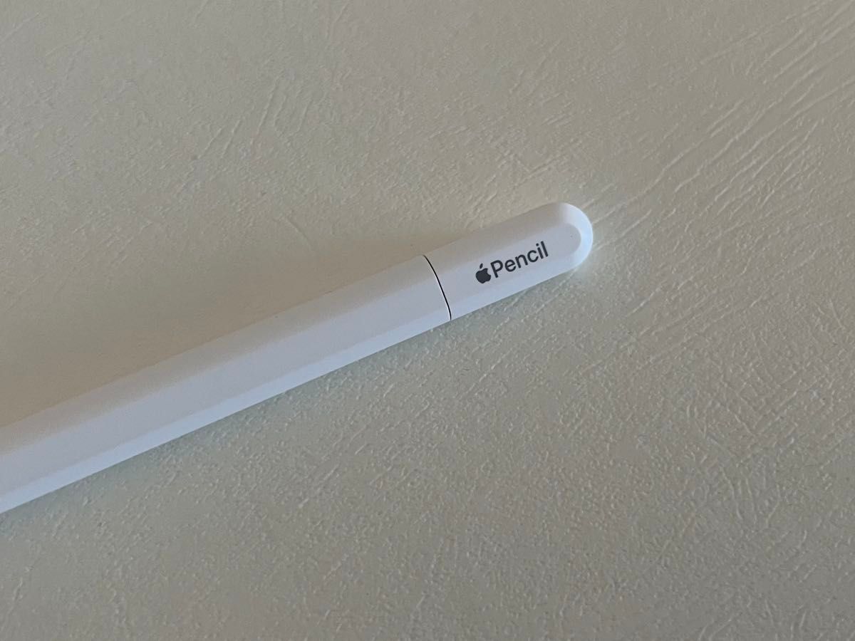 Apple Pencil usbC タイプ｜Yahoo!フリマ（旧PayPayフリマ）