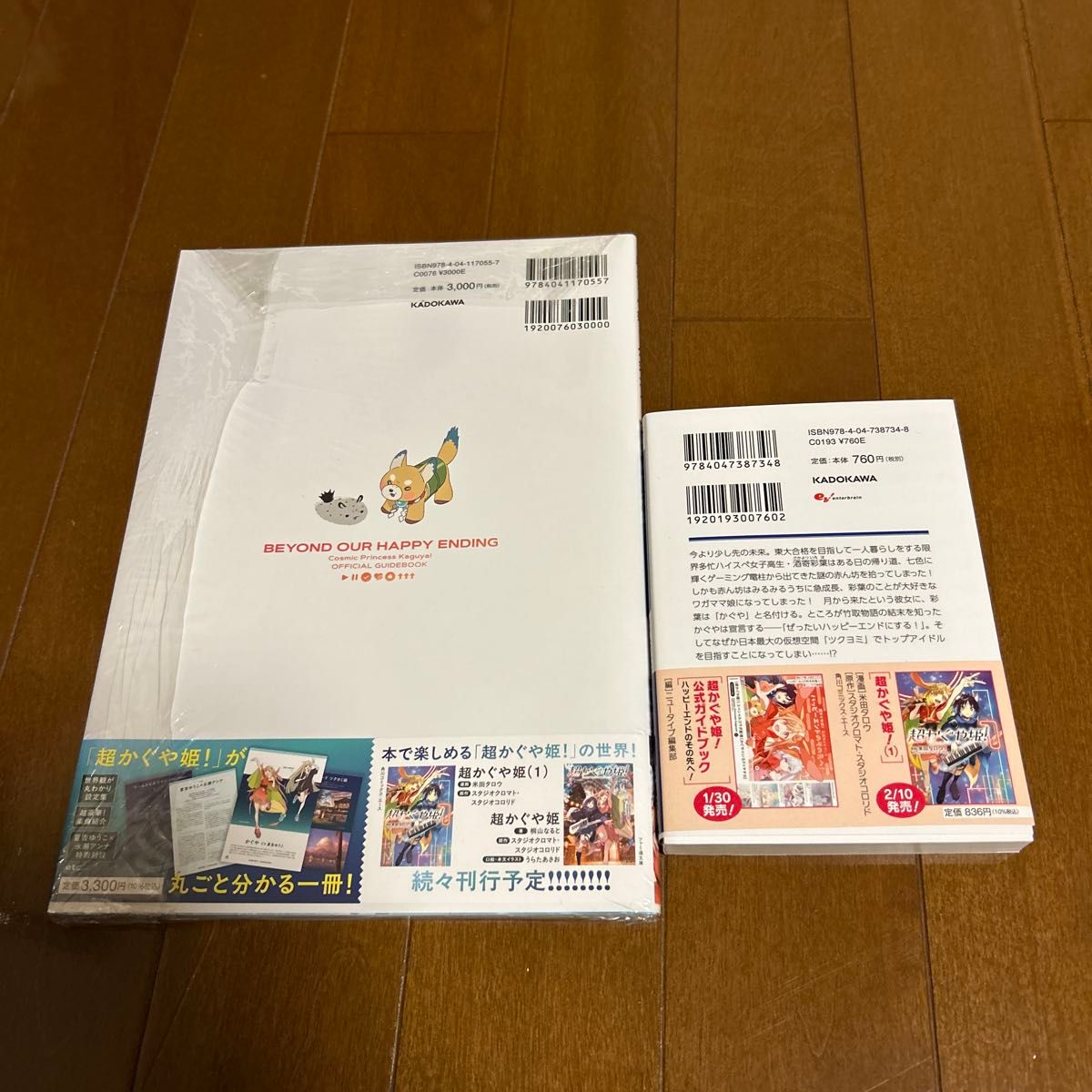 超かぐや姫 小説 ＋ 公式ガイドブック ハッピーエンドのその先へ 未読