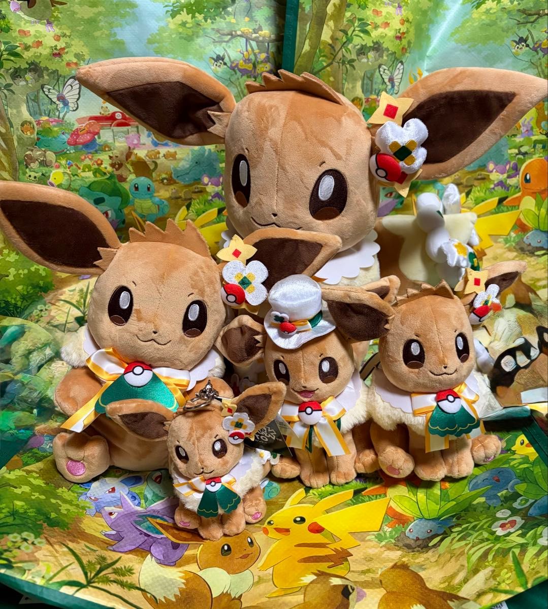 新品 ポケパーク カントー ショップ 限定 イーブイ ぬいぐるみ5体