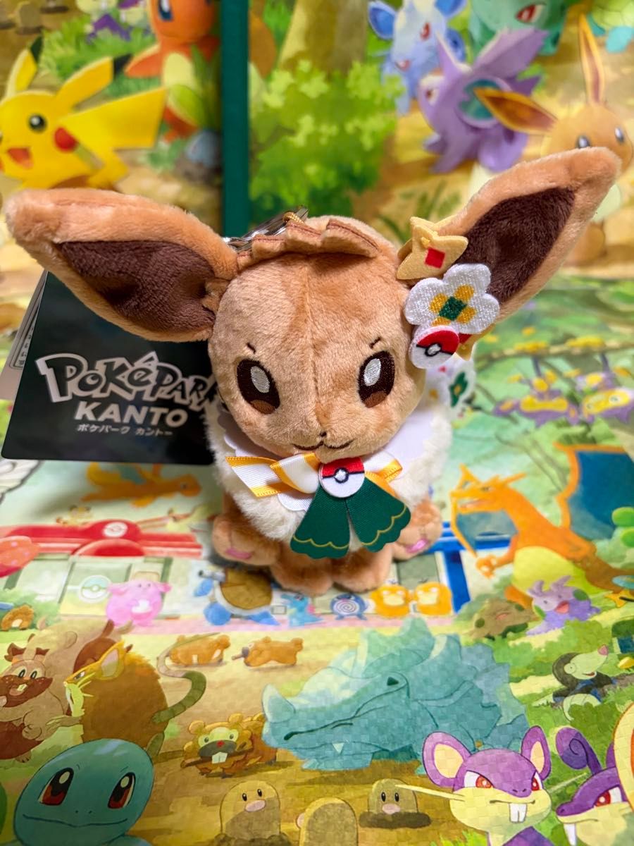 新品 ポケパーク カントー ショップ 限定 イーブイ ぬいぐるみ5体