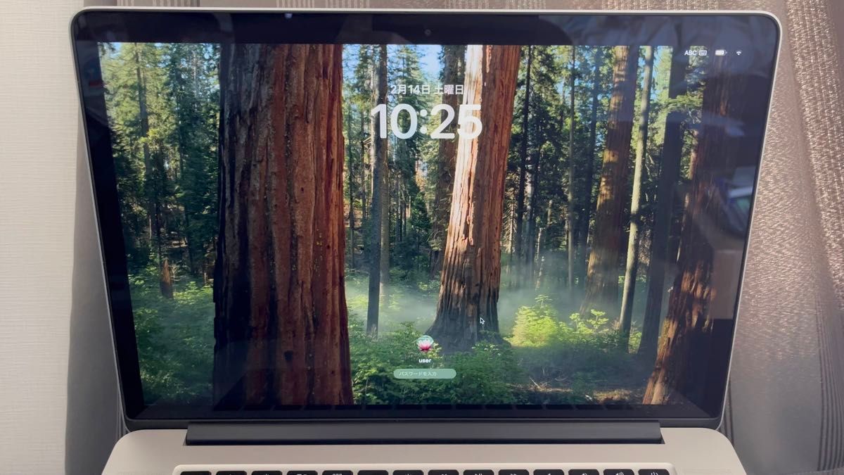 ジャンク MacBook Air 13インチ A1932 スペースグレイ ロジックボード