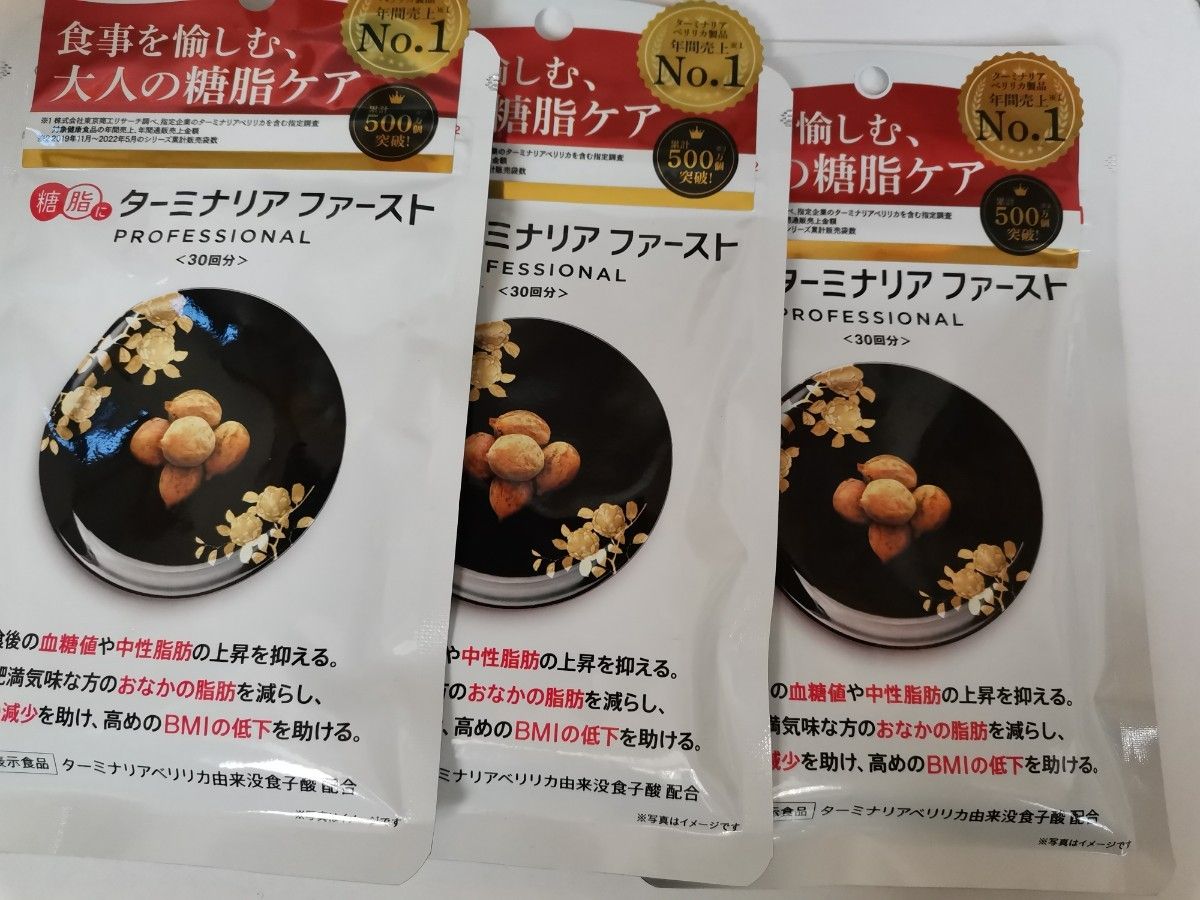 ビタブリッドジャパン ターミナリアファースト プロフェッショナル4 30