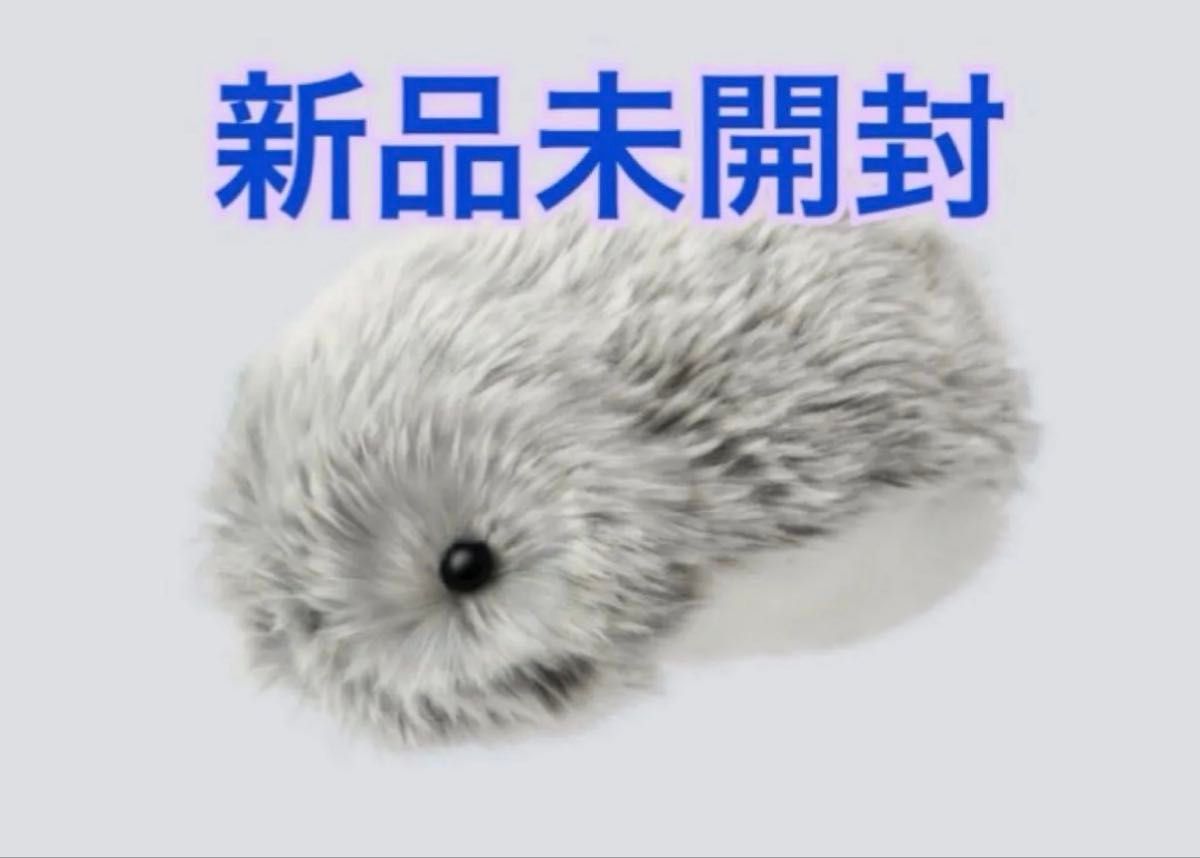 CASIO モフリン シルバー PE-M10SR｜Yahoo!フリマ（旧PayPayフリマ）