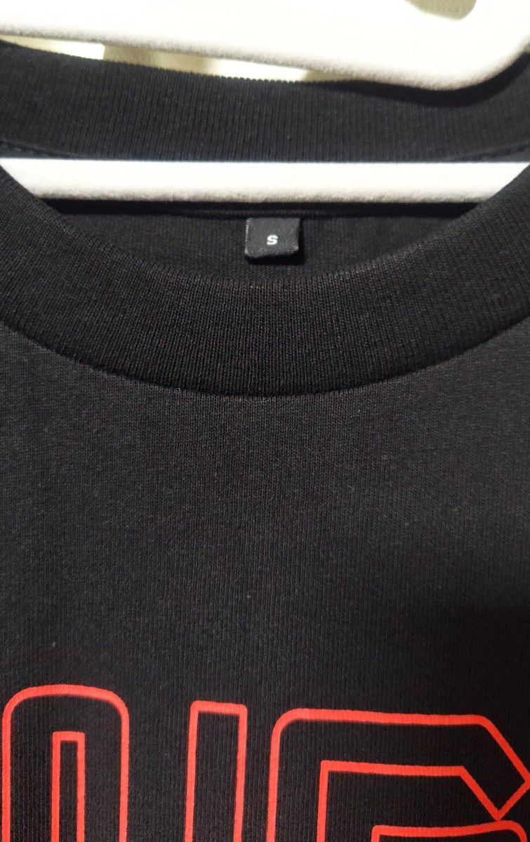 STING 3 0 JAPAN TOUR 2025】公式ツアーTシャツ Sサイズ｜Yahoo!フリマ