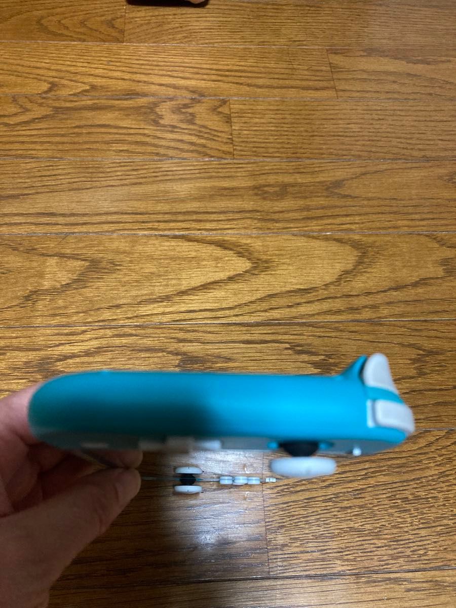 ケース付Nintendo Switch Lite 人気のターコイズカラー｜Yahoo!フリマ