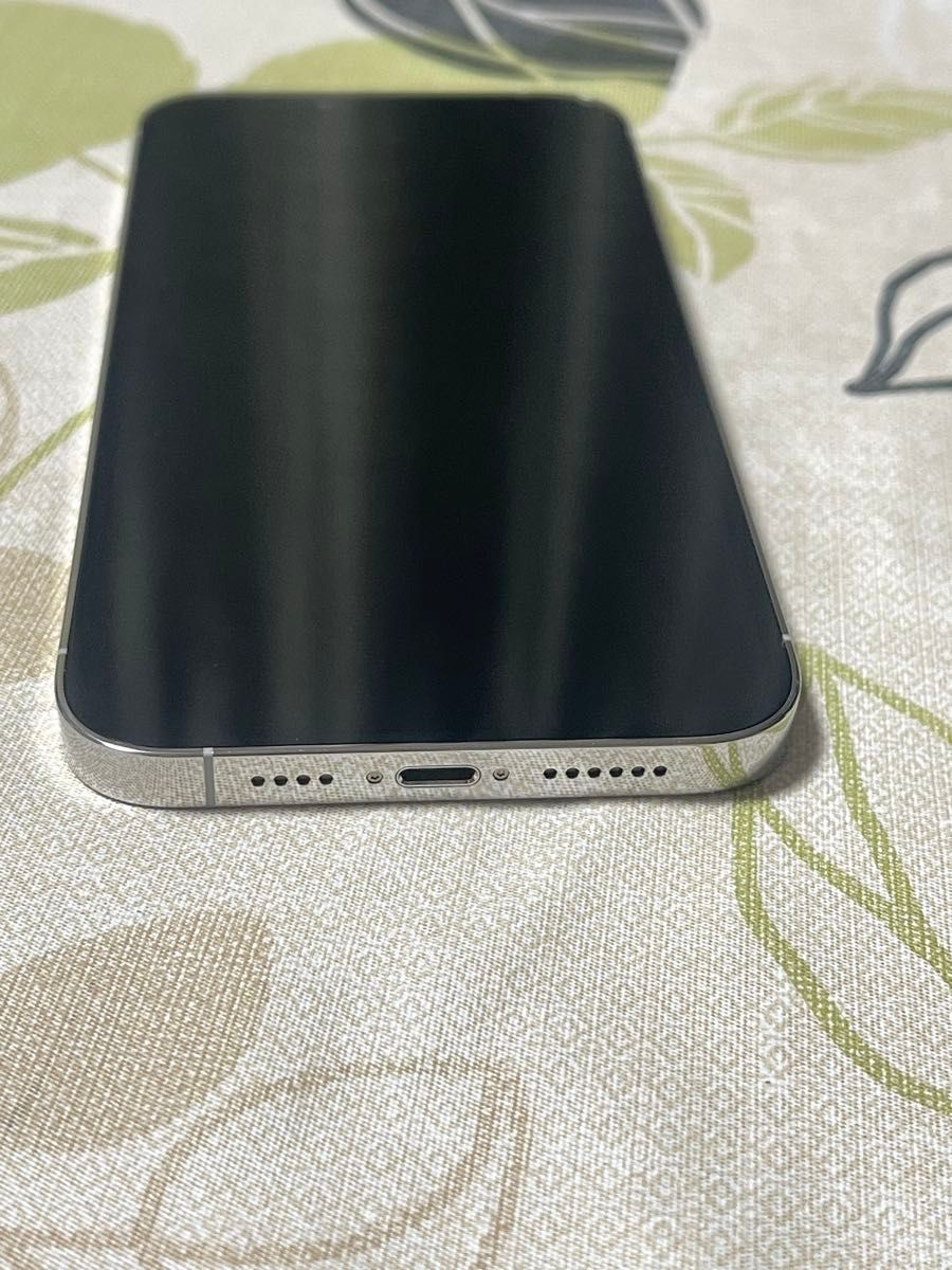 iPhone 13 Pro Max 256GB シルバー SIMフリー｜Yahoo!フリマ（旧PayPay