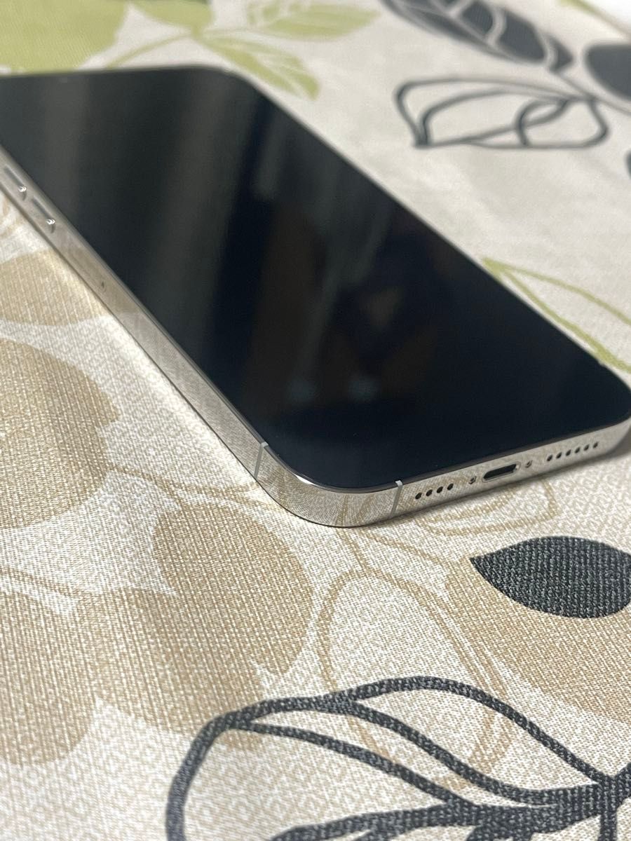 iPhone 13 Pro Max 256GB シルバー SIMフリー｜Yahoo!フリマ（旧PayPay