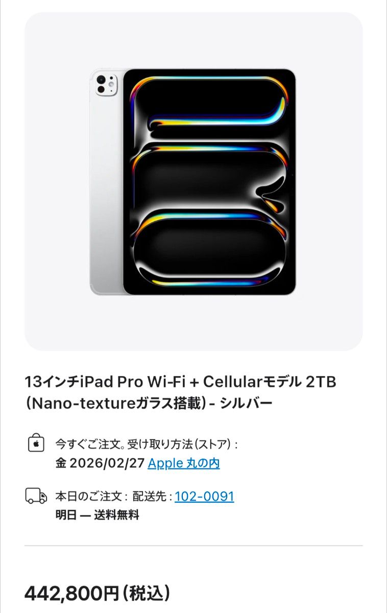 iPad Pro 13インチ M4/2024 Cellular+WiFi 2TB シルバー Nano-Texture