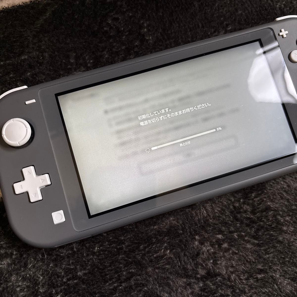 2026年2月購入 Nintendo Switch Lite グレー 本体 ほぼ未使用 付属完品