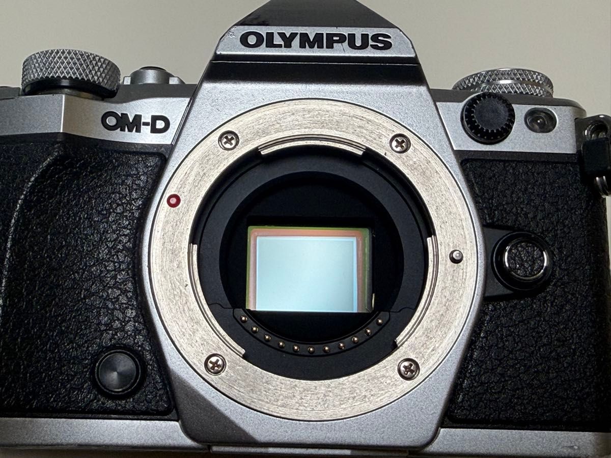 純正予備電池付き】OLYMPUS OM-D E-M5 Mark II 本体｜Yahoo!フリマ（旧