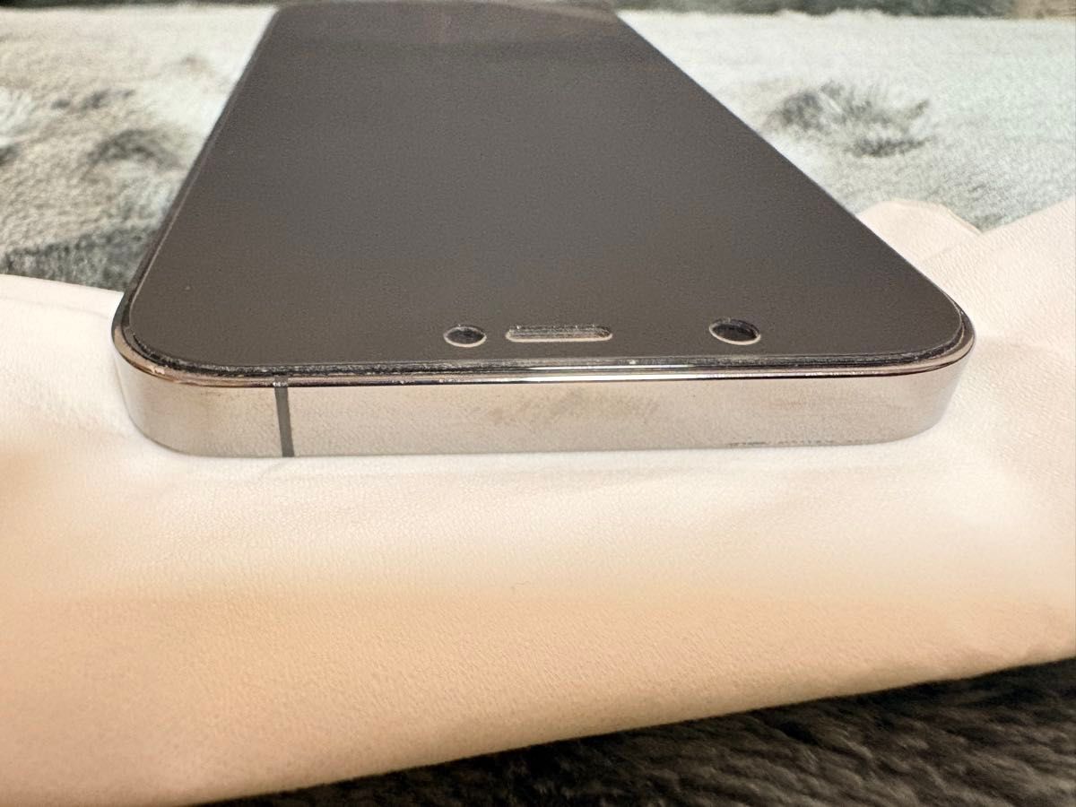 iPhone12pro 256gb SiMフリー グラファイト カメラ難あり 交換歴・修理